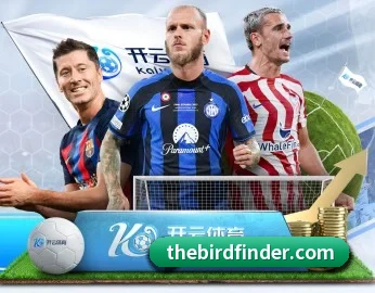关于我们 - 体育资讯内容服务